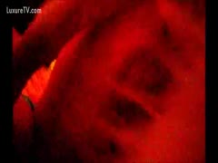 A pierced snatch is being drilled by the household pet on a wife.